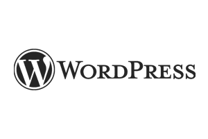 WordPress 4K Responsive Web Development Experts | Praxis Technologies Digital Marketing and Branding Agency