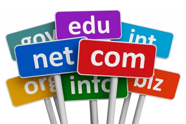 Which Domain Name URL